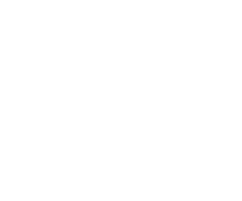Vellcrest CFO Advisors